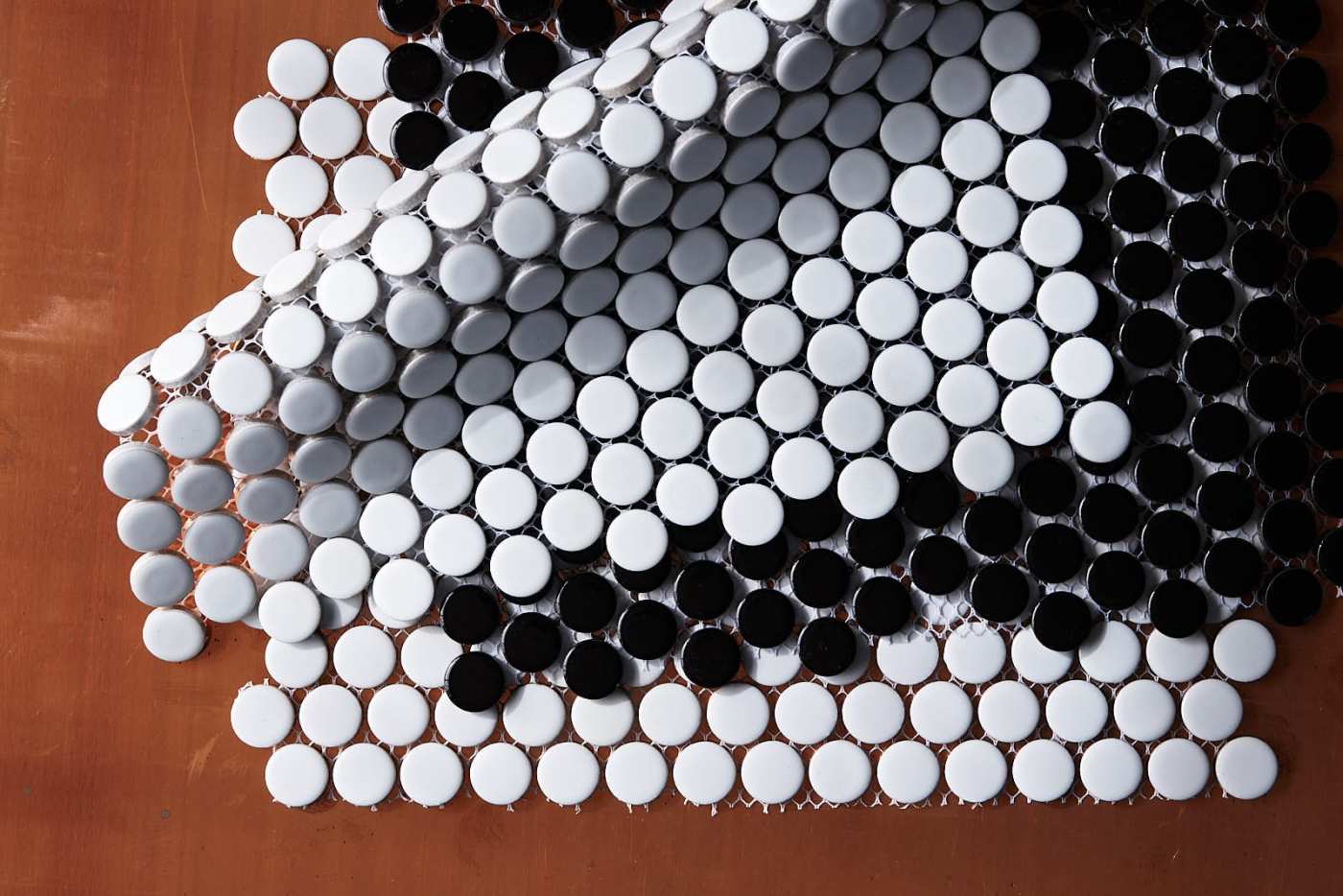 a black and white mosaic tile on a wooden surface.