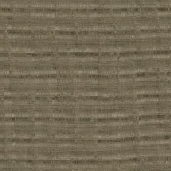 Be Be-77 Roman Blind