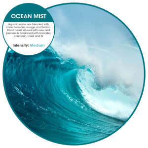 FREEFA1B07208, Fresh Products, Easy Fresh 2.0 Cover, Air Freshener, Ocean Mist