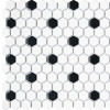 Skyline Black & White 1″ Hexagon Mosaic Matte