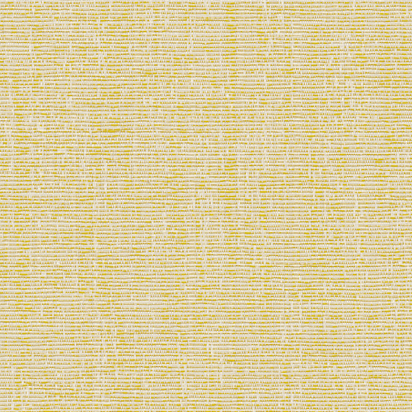 Reid Lemon Roller Blind