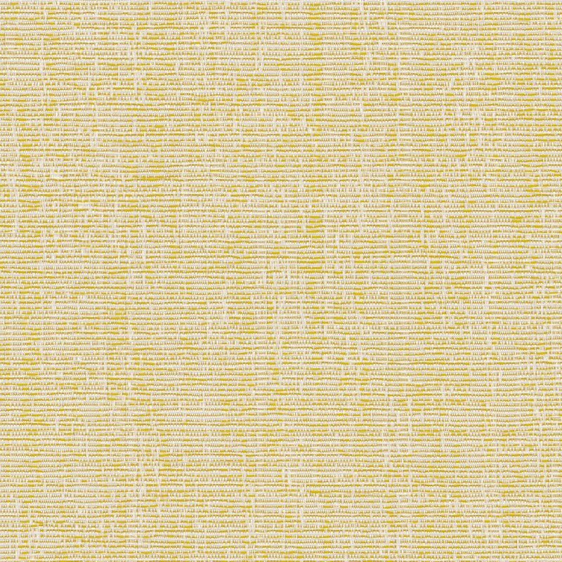Reid Lemon Roller Blind