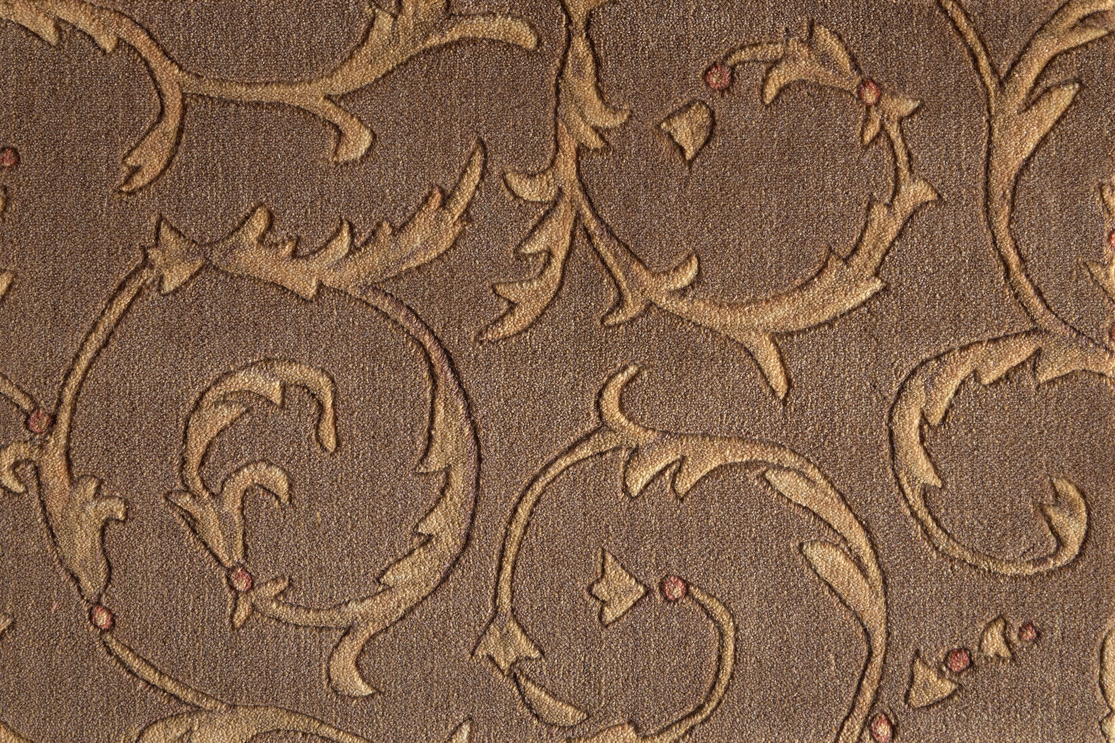 color-rug1