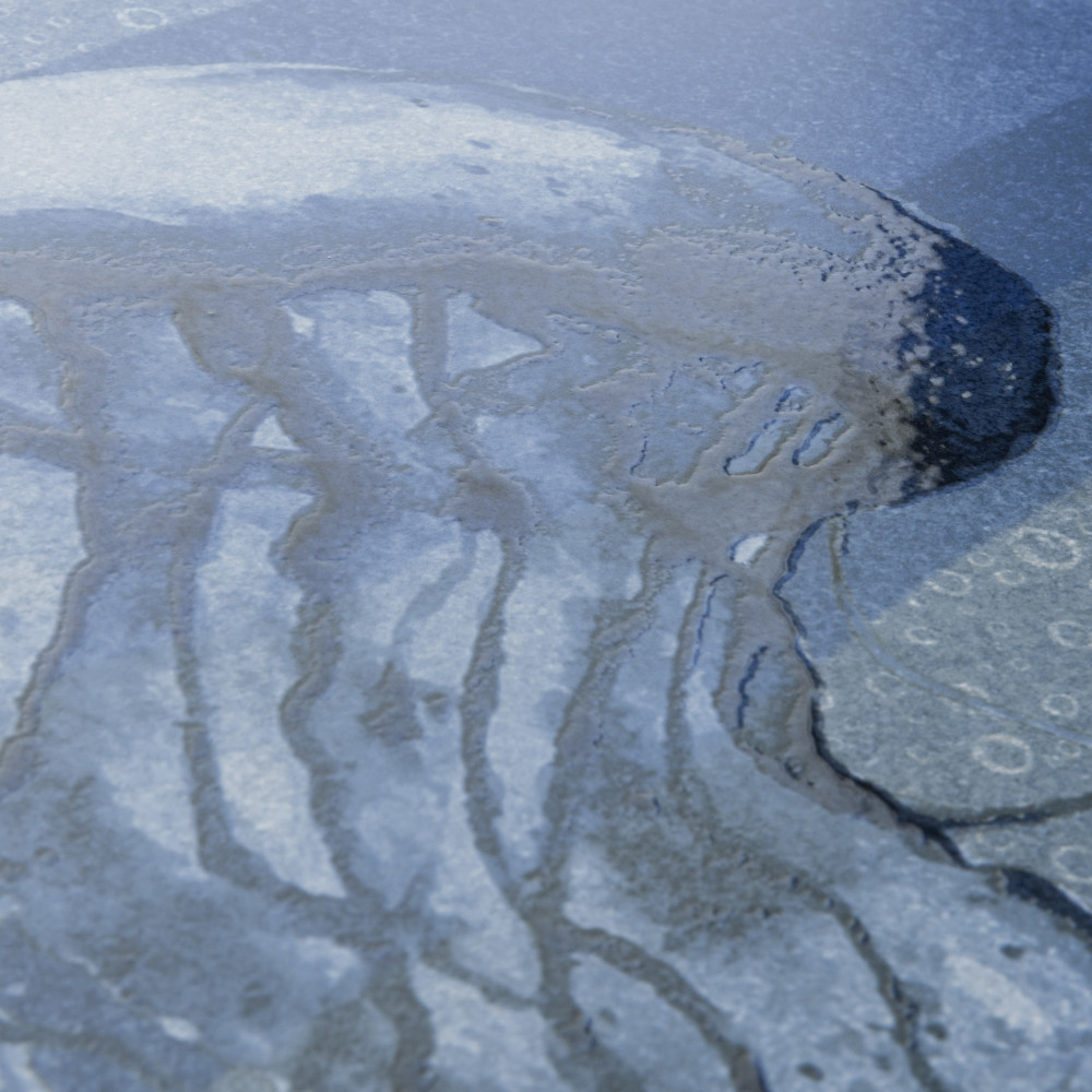 Dreamscape Pacific 23-5/8 in. x 47-1/4 in. Porcelain Floor and Wall Tile