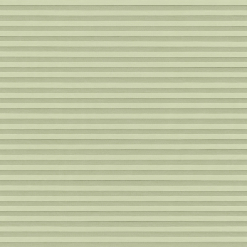 Lumina Sheer Grass Pleated blind