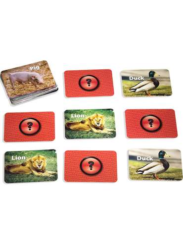 Photographic Memory Matching Game, Animals