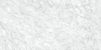 Amica Carrara 24×48 Field Tile Honed Rectified