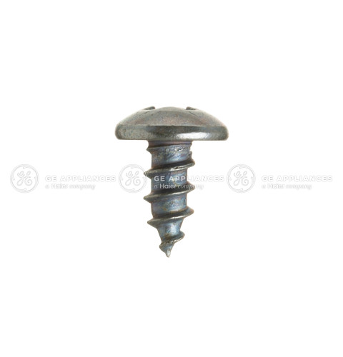 SCREW (FRAME FRONT)