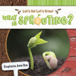 Rourke Educational Media What Is Sprouting? Reader, Grade K-2, Paperback CD-9781731652232