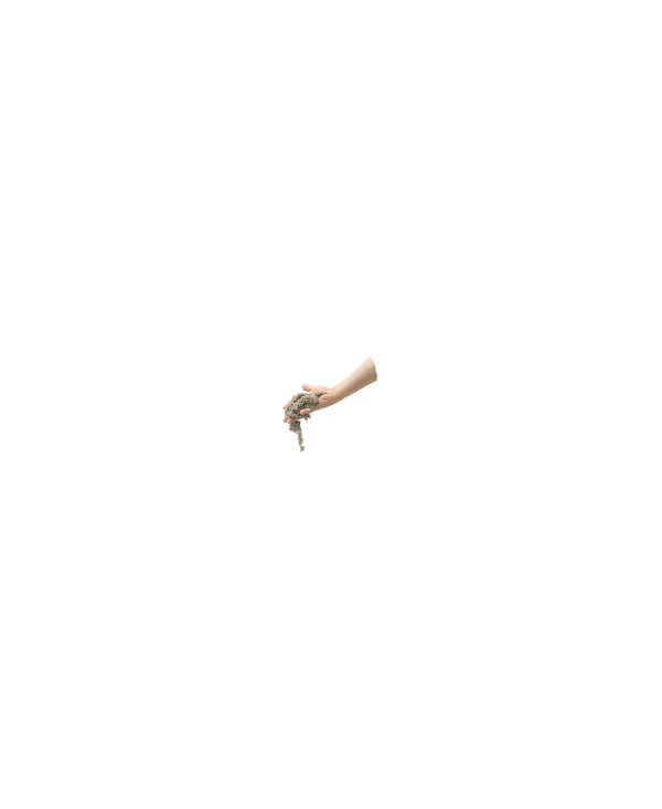 s--gpV5Kt3S--/o0fknjswd8agxebsour6.jpg