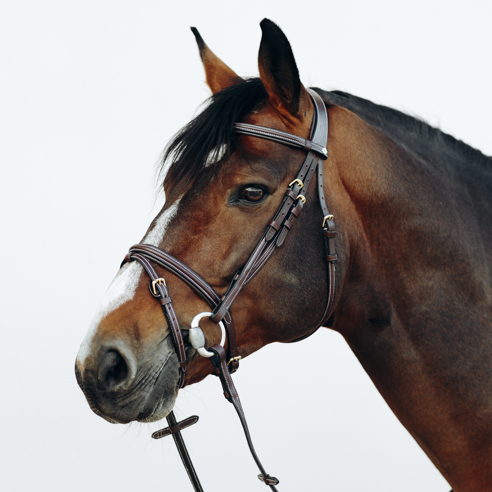 Horze Buxton Flash Bridle with Reins