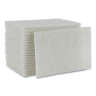 Boardwalk, Light Duty Scour Pad, Rectangle, 6"x9", White