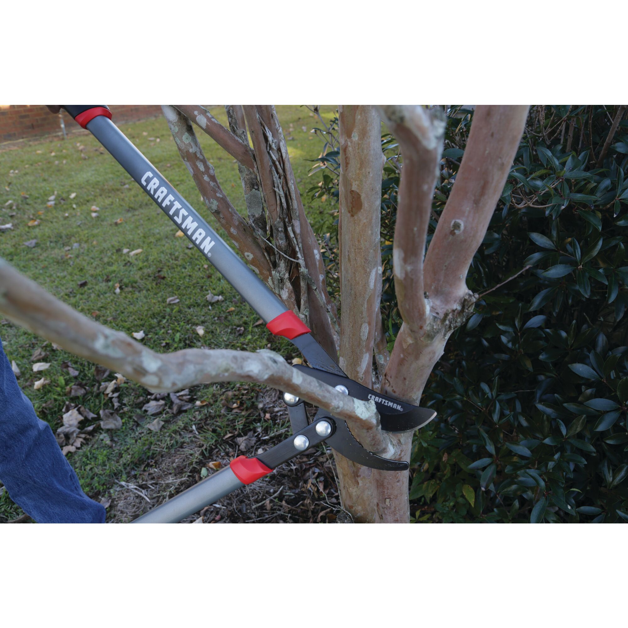 Compound bypass lopper being used by a person to cut a branch.