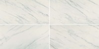 Ideology Carrara White 24×24 Field Tile Polished Rectified *New Packaging