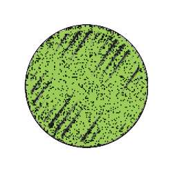 s--h71i3kFd--/urdyagvs2ecdbqzyx8mt.jpg