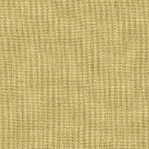 Schelp Schelp-01 Roman Blind