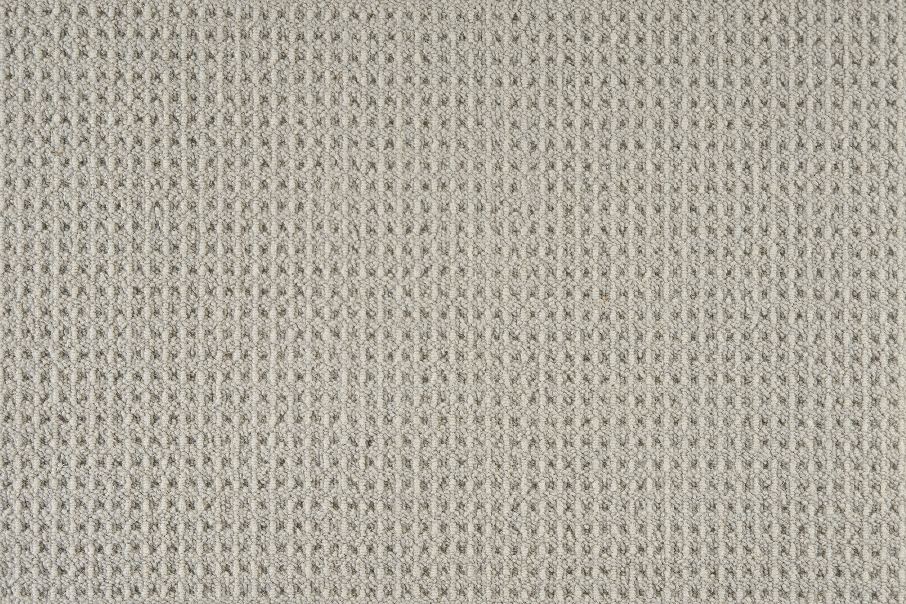 color-rug1