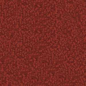color-rug1