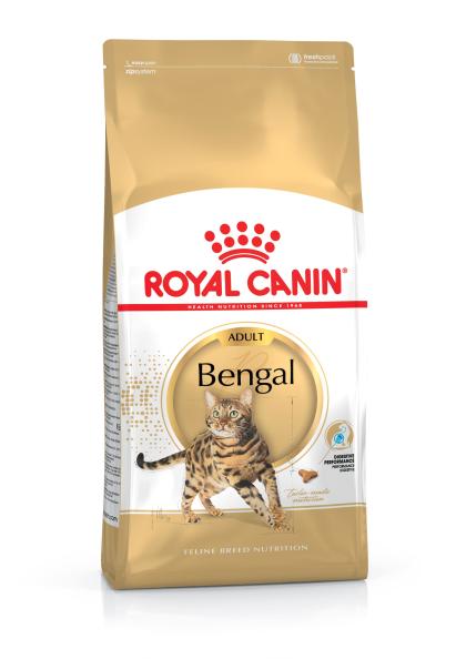 Bengal