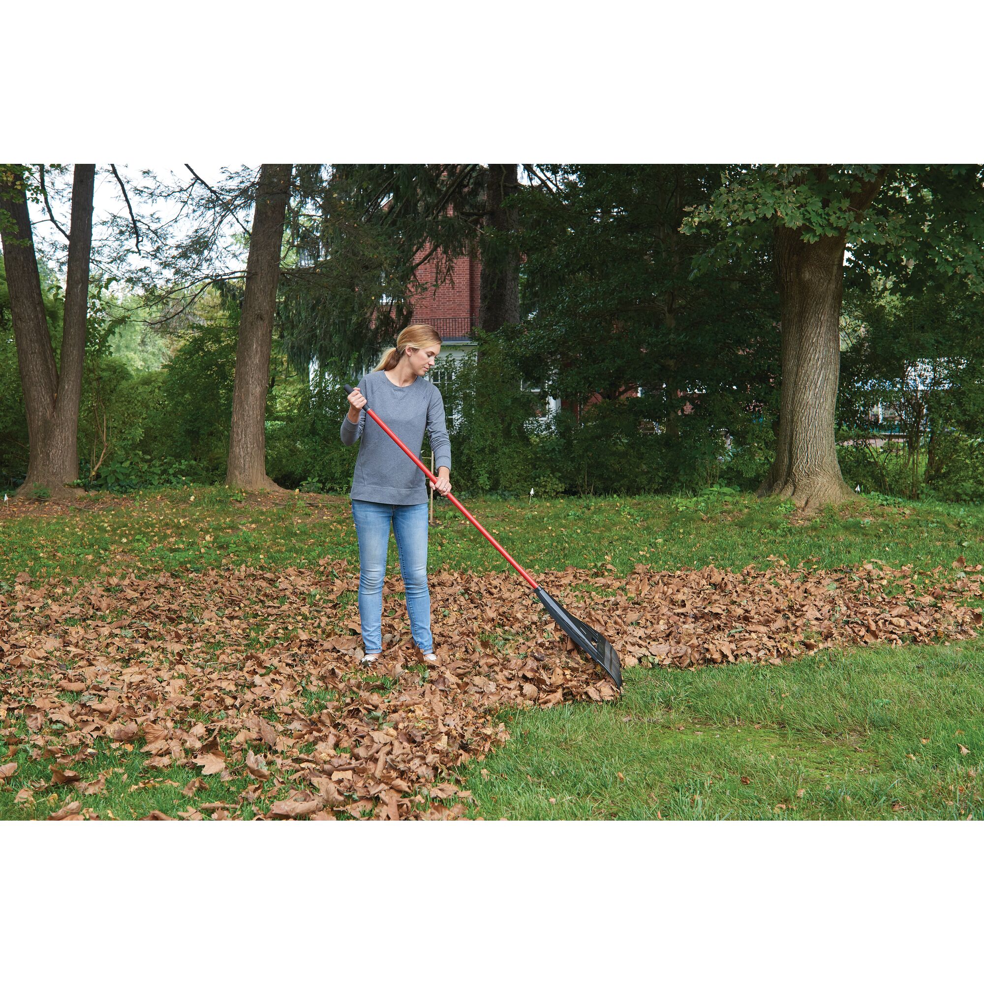 View of CRAFTSMAN 26-in. Dual Tine Leaf Rake being used by consumer