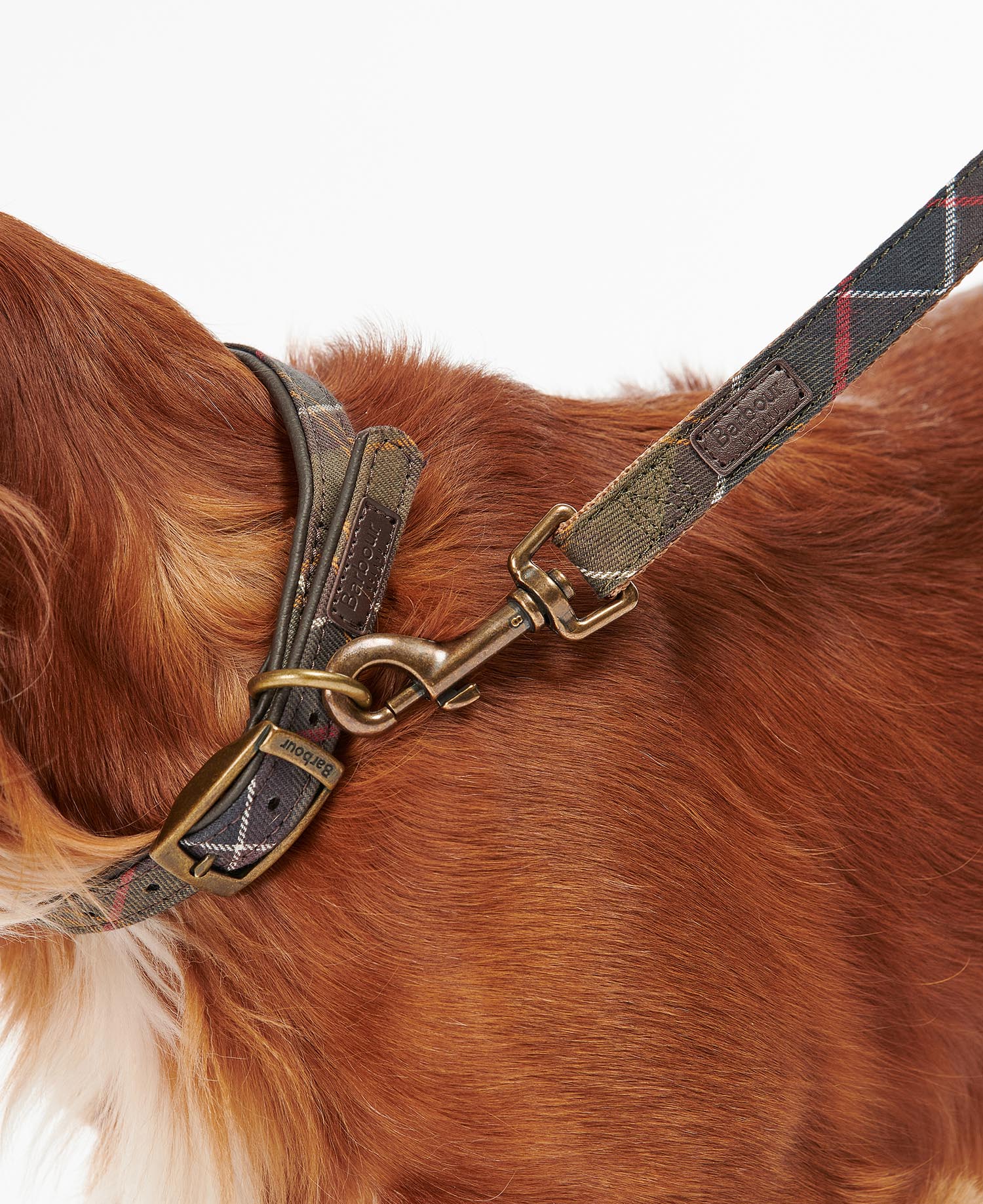 Guinzaglio per cani Tartan image number 2