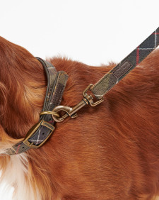 Guinzaglio per cani Tartan 