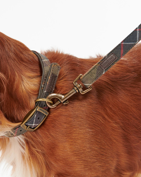 Guinzaglio per cani Tartan 