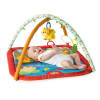 Pal Around Jungle™ Activity Gym