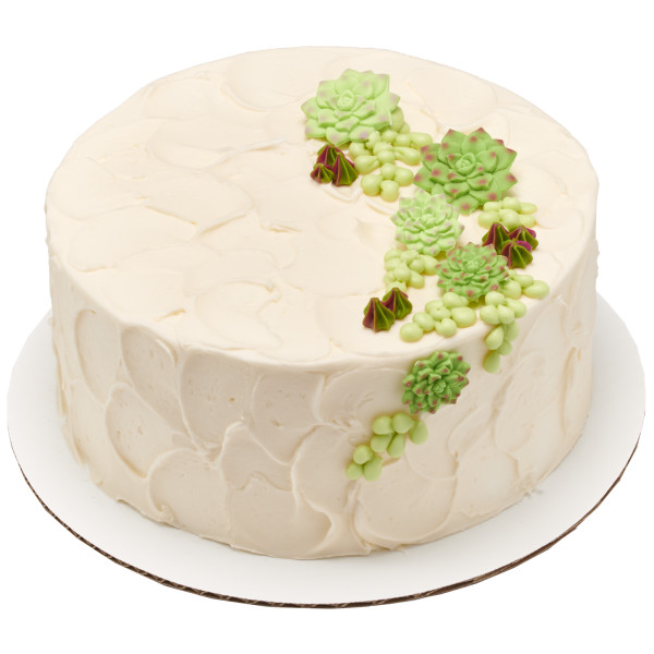 Succulents Sweet Décor® Edible Decorations