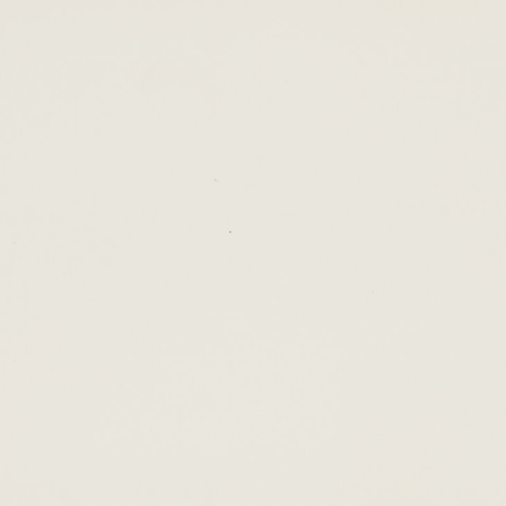 Pale cream wall surface displaying faint specks and subtle texture under soft, diffuse lighting, with no discernible furniture, windows, or other features.