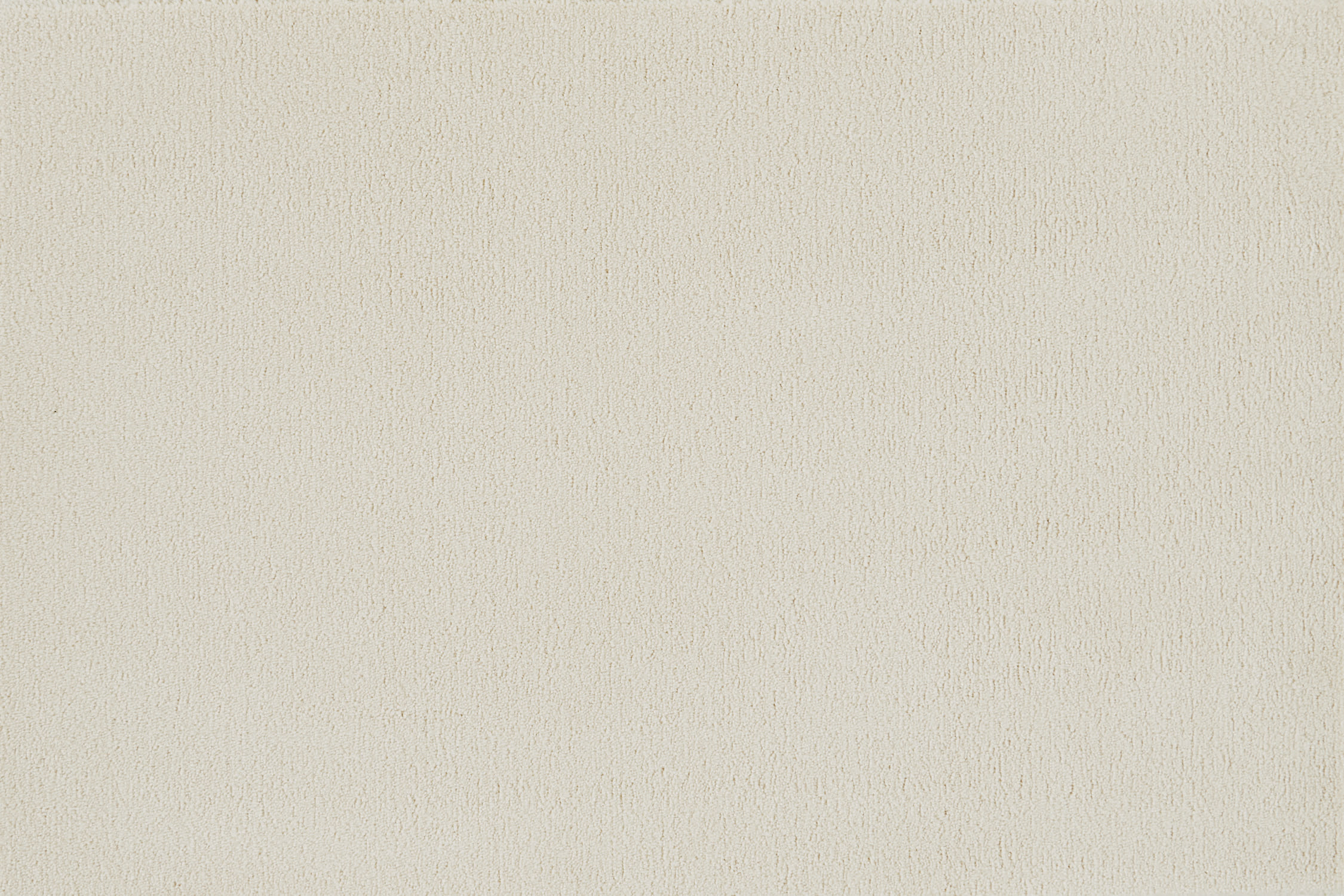 color-rug1