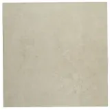 Notorious Private Eye 12×12 Field Tile Honed Rectified