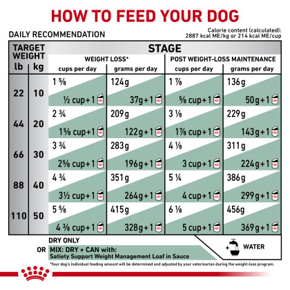Satiety Support Weight Management Dry Dog Food 