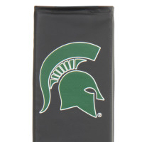 Michigan State Spartans thumbnail 4