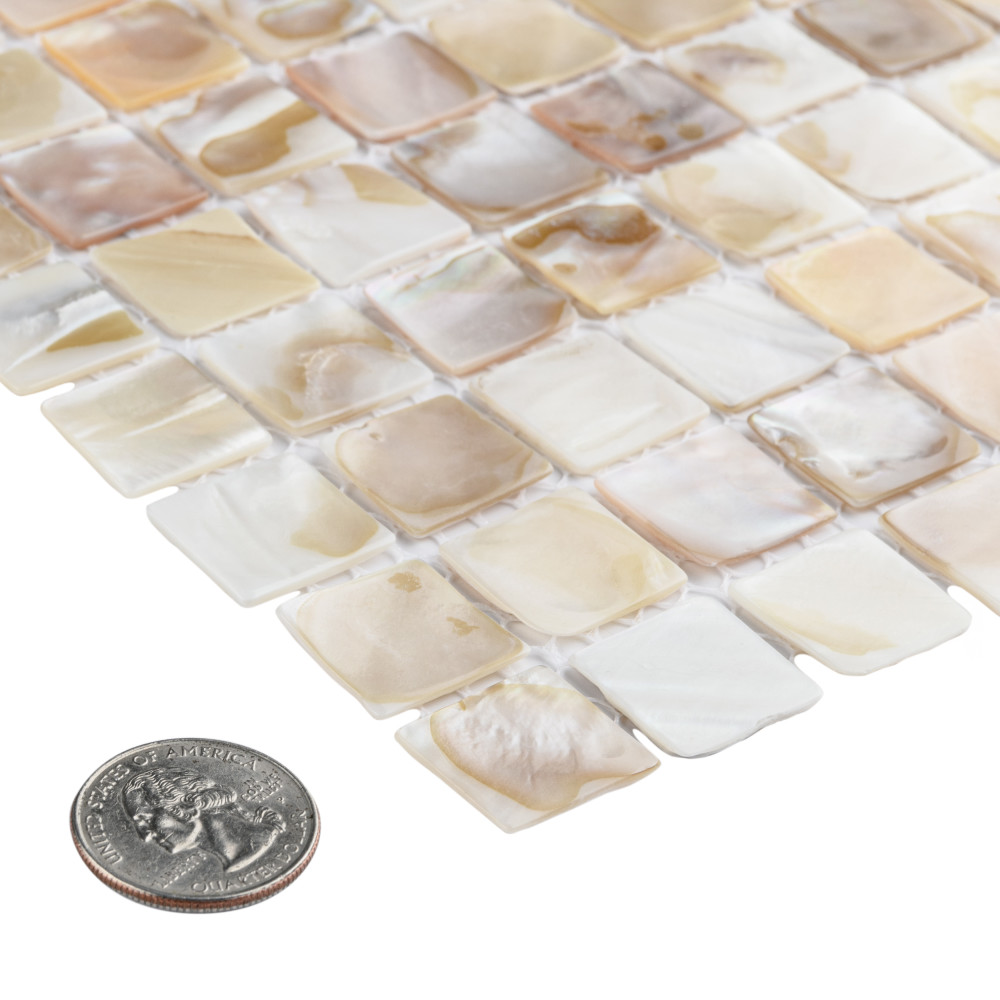 Conchella Square Natural 12 in. x 12 in. Natural Shell Mosaic Tile