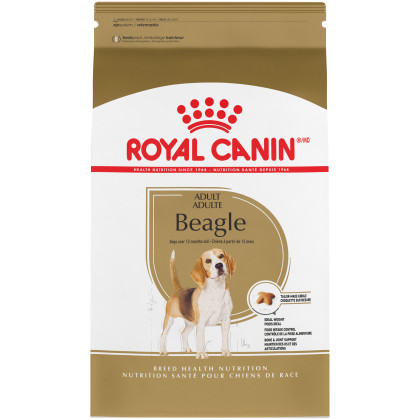 Beagle Adult Dry Dog Food