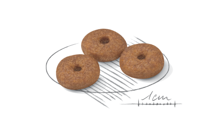 Mini Ageing 12+ kibble
