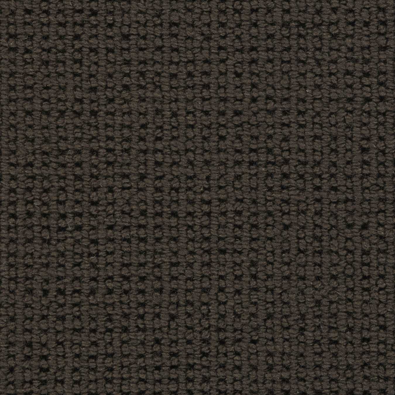 color-rug1