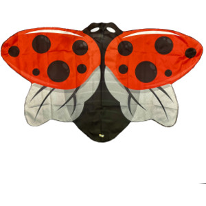Red Ladybug Dress-Up Wings