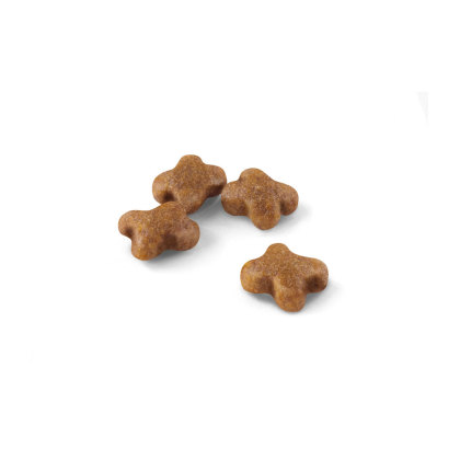 Kitten kibble