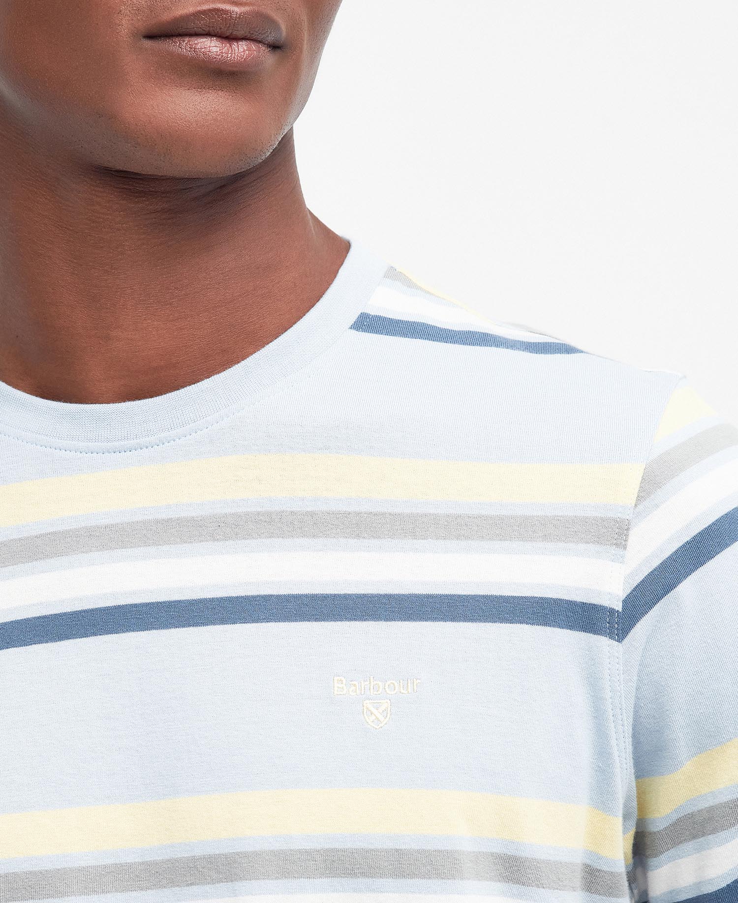 Hamstead Striped T-Shirt image number 4