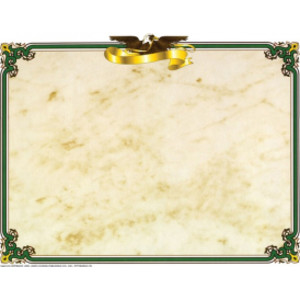 Eagle Border Paper, 8.5" x 11", Pack of 50