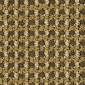 color-rug1
