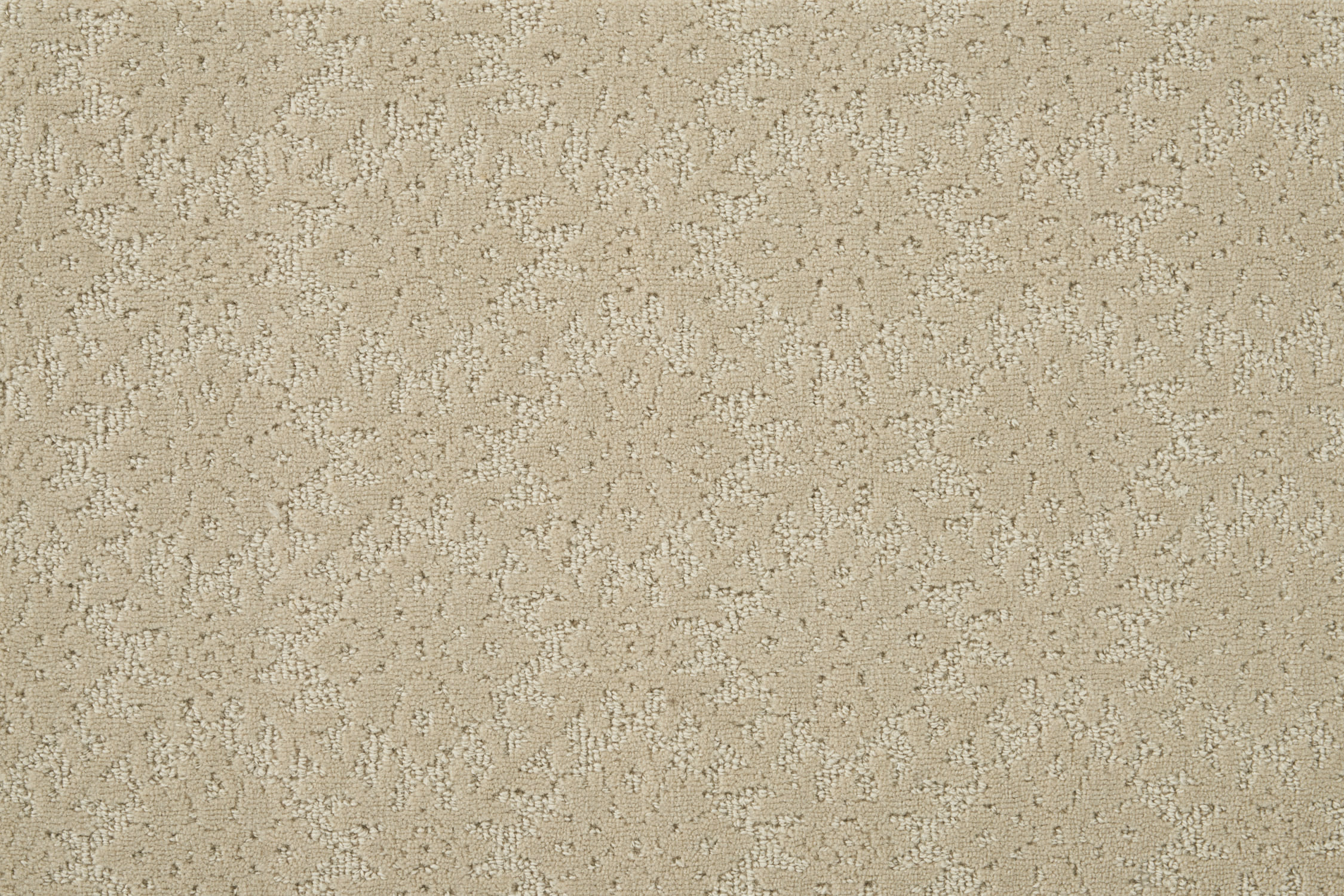 color-rug1