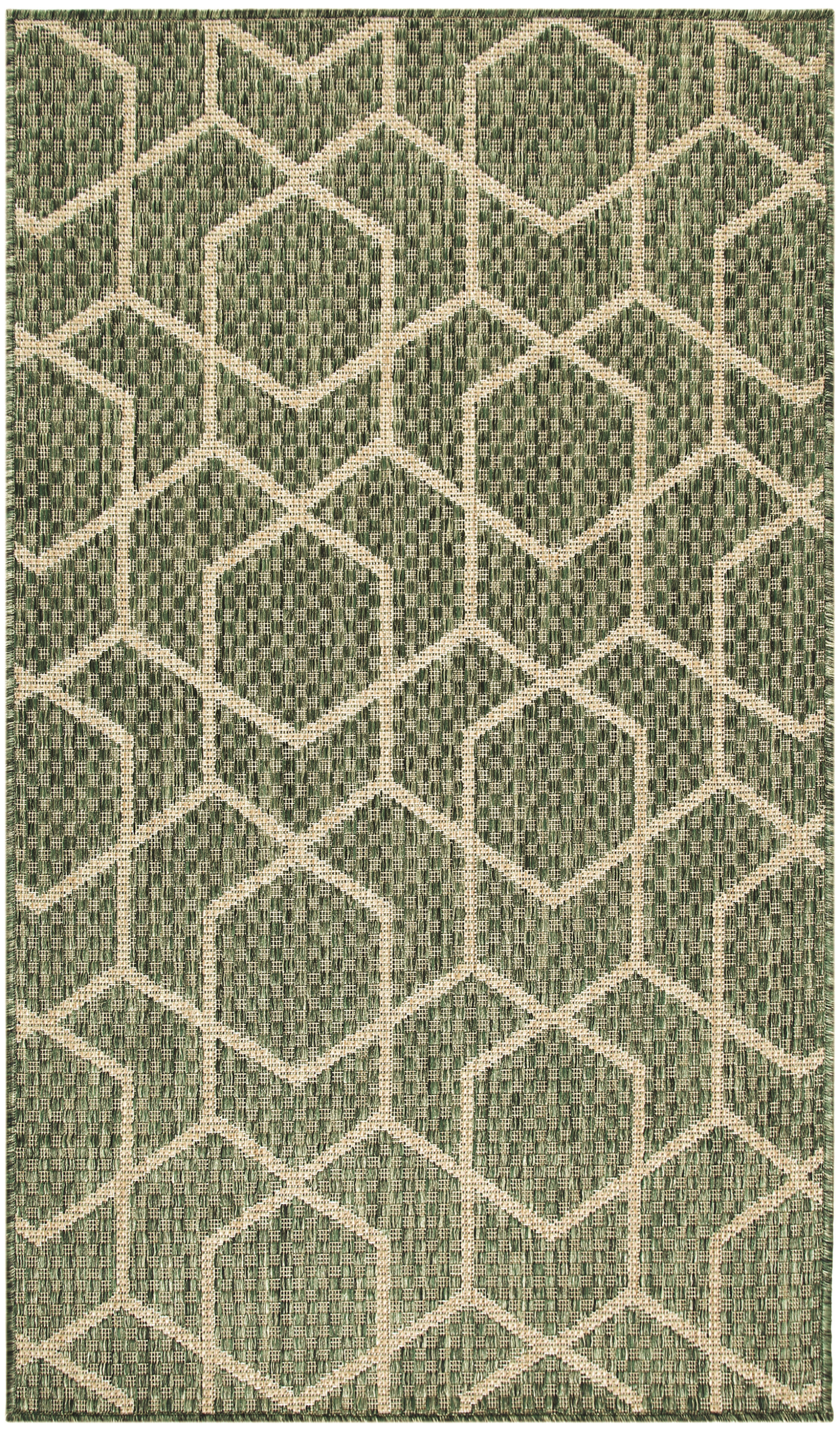 Nourison Horizon Indoor/Outdoor 3' x 5' Green Modern Rug