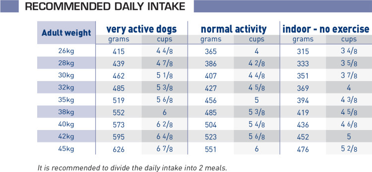 senior-consult-mature-large-dog-food-royal-canin