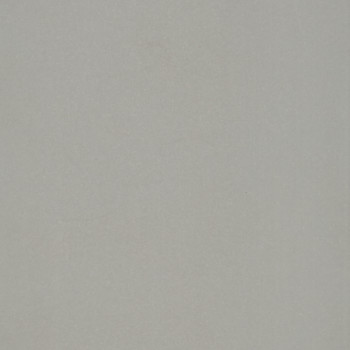 Smooth pale-gray wall, unadorned and matte, filling the frame; surface shows subtle speckling and faint shadowing; evenly lit, minimal interior close-up with no visible features or furnishings.