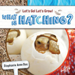 Rourke Educational Media What Is Hatching? Reader, Grade K-2, Paperback CD-9781731652218