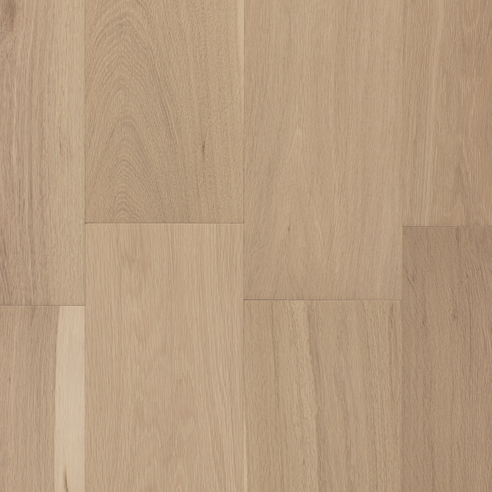 Blanc de Blanc Cali Hardwoods Threshold view 2