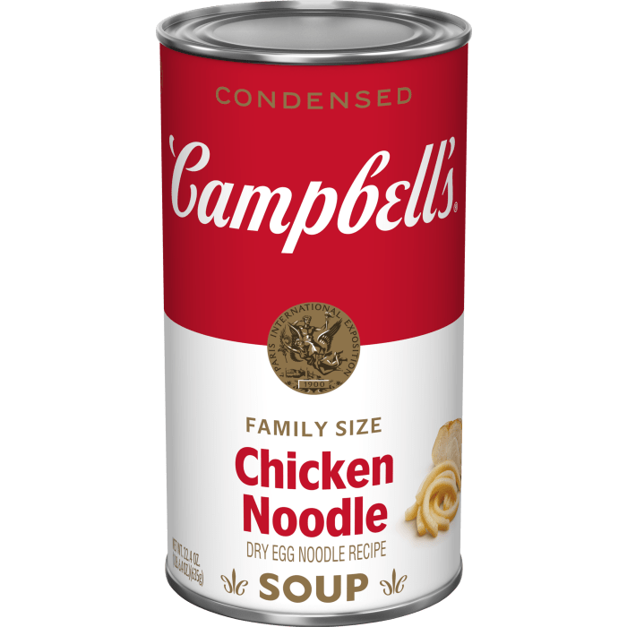 Family Size Chicken Noodle Soup